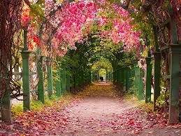 Russia Tours Siberia Tours Russia Travel And Package Tours Russia Tours Nature The Great Outdoors