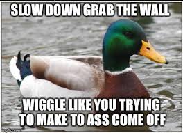 We did not find results for: Actual Advice Mallard Meme Imgflip