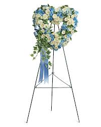 We did not find results for: Pure Heart Sympathy Arrangement Teleflora
