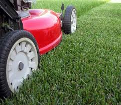 Annual aeration is beneficial for most lawns in ontario. Saskatoon Lawn Care Services And Prices We Do All Contractors