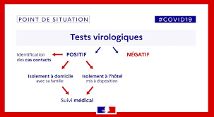 The two main branches detect either the presence of the virus or of antibodies produced in response. Test Covid 19 Autotest Pcr Antigenique Pharmacie Resultats Sans Rdv