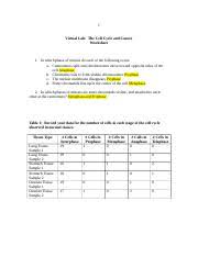 Write the photos of lilly meiosis stages. The Cell Cycle And Cancer Worksheet Finished 1 Virtual Lab The Cell Cycle And Cancer Worksheet 1 In Which Phase Of Mitosis Do Each Of The Following Course Hero