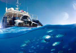 The boat ramp offers a courtesy dock and restroom. U Boat Worx Nemo Submarine
