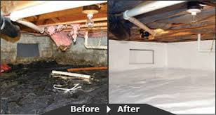 American pest services is a local & family owned business with many years of pest control experience. Crawl Space Pest Control In Grand Junction Co And Grand Valley