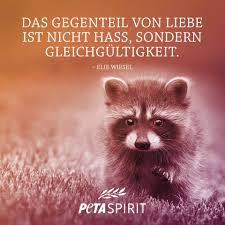 Pin Von Anny Golln Auf Vegan Spruche Zitate Spruche Poster Spruche