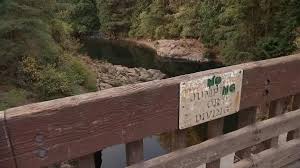We did not find results for: Following Moulton Falls Bridge Push County Considers Fencing Local News Kptv Com