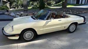 Image result for Rame Chiaro 1985 Alfa-Romeo