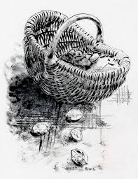 Quelques Noix Ont Rempli Ce Panier Pour Faire Un Sujet A Croquer Sur Le Coin De Ma Table De Cuisine Et Me Donner L 39 Occasion D Dessin Pastel Dessin Peinture
