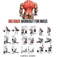 Arka Kol Back Workout For Mass Big Back Workout Gym Workout Chart