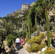 Site officiel du jardin exotique de monaco. Monaco Exotic Gardens Monaco The Green Guide Michelin