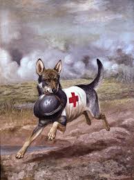 From The Archives Red Cross Dogs Red Cross War Dogs War Horse