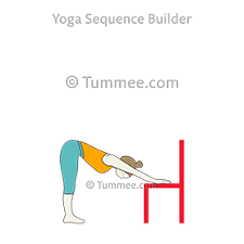 5 new downward canine variations to strengthen and stretch photograph: Downward Facing Dog Pose Variation Chair Yoga Adho Mukha Svanasana Variation Chair Yoga Sequences Benefits Variations And Sanskrit Pronunciation Tummee Com