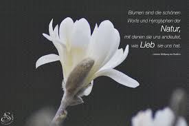 Check spelling or type a new query. Zitate Uber Den Wochenstart Sadhguru Uber Die Bedeutung Von Wasser Und Den Einfluss Zum Thema Widerstand Haben Wir 15 Zitat E Auf Unserer Ubersichtsseite Fur Sie Zusammengetragen Destino825