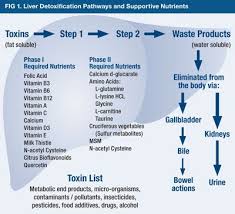 17 Signs Of Impaired Liver Detox Butter Nutrition Liver Detoxification Liver Detox Liver Detox Juice
