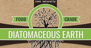 Diatomaceous Earth Pest Control Its Benefits And How To Use It In Your Garden