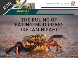 To summarize, we can state that allah (swt) has mentioned selective seafood is halal to eat and the real animals are strictly denied to be eaten. Pejabat Mufti Wilayah Persekutuan Irsyad Al Fatwa Series 118 The Ruling Of Eating Mud Crabs Ketam Nipah