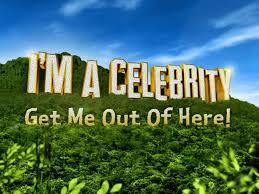 Get me out of here! I M A Celebrity 2020 Sweepstake Generator