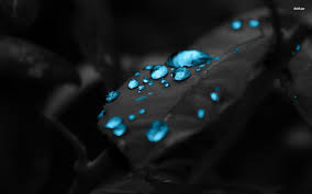 All my chrome themes support hd quality wallpapers & backgrounds. Page 14 Of Blue 4k Wallpapers For Your Desktop Or Mobile Screen