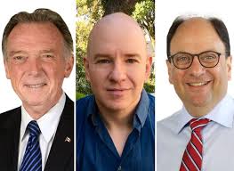 Thornhill federal election candidates target vastly different local  priorities