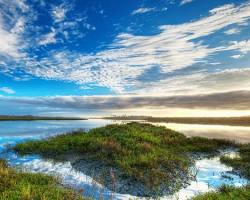 Image of Bolsa Chica Ecological Reserve