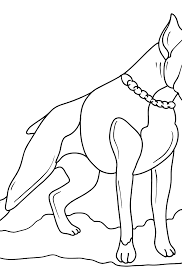 Search through 623,989 free printable colorings at getcolorings. Boxer Dog Coloring Page Print For Free