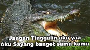 10 Meme Kocak Buaya Ini Membuktikan Kalau Laki Laki Itu Buaya Banget Buaya Buaya Muara Meme