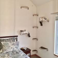 Katzen Kletterwand Selber Bauen Anleitung Bilder Und Ideen Katzen Kletterwand Kletterwand Kletterwand Selber Bauen