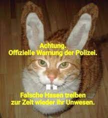 Der ratsvorsitzende der evangelischen kirche in deutschland (ekd), heinrich deshalb wurde die geplante pressekonferenz auf dienstag verschoben. 39 Ostern Lustig Ideen Ostern Lustig Lustig Ostern