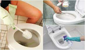 4 Soluzioni Naturali Per Eliminare Le Macchie In Bagno Pulizia Del Wc Pulizia Water Pulizia Argento