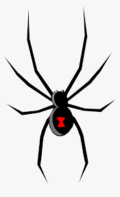 Have yourself (or others) drawn into any cartoon style, in any setting, and in any pose possible. Spade Drawing Spider Web And Open Black Widow Spider Cartoon Hd Png Download Transparent Png Image Pngitem