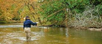 Best places ranks thousands of places to live based on analysis, data and key statistics from the u.s. These 7 Waters Are Among The Best Fishing Spots In Michigan