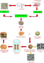 Check spelling or type a new query. Prospectus Of Cultured Meat Advancing Meat Alternatives Abstract Europe Pmc