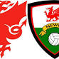 FAW & North East Wales FA Strategy Engagement Event event image