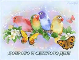 ÐÐ¾ÑÐ¾Ð¶ÐµÐµ Ð¸Ð·Ð¾Ð±ÑÐ°Ð¶ÐµÐ½Ð¸Ðµ