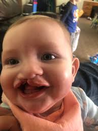 Troy Nanninga (@troynan)