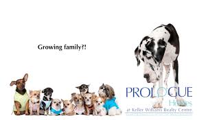 Does Your Family Seem To Get Bigger Every Day Are You Ready To Move Up To A Bigger House We Can Help Contact Us Today For A Small Puppies Large Dogs