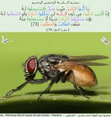 العزة لله جميعا لن يخلقوا ذبابا ولو اجتمعوا له محمود شلبي Ignorant People God Almighty Islamic Page