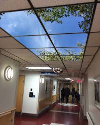 Led Skylight In Hallway Helps Afternoon And Midnight Shift Workers Battle Fatigue And Circadian System Failures