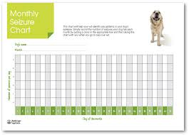 Monitoring Your Dogs Seizures Dogs With Epilepsy