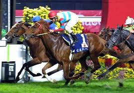 Best Sources For Harness Racing Entries And Results Horses Horse Racing Eventing Horses