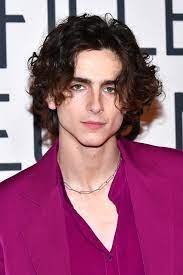 A striking photo of timothée chalamet, wes anderson, tilda swinton and bill murray — and their fashion choices — made twitter's imagination run wild. Timothy Chalamet Is Going To Play Willy Wonka On The Big Screen Vogue Paris