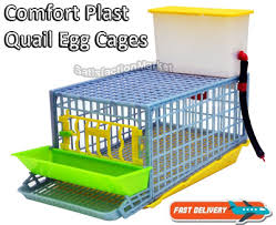 Quail Cage The Patented Design First In The World Professional Quail Egg Cage Ebay 7,000+ vectors, stock photos & psd files. quail cage the patented design first in the world professional quail egg cage ebay
