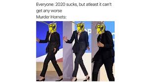 This makes them arguably more dangerous as you can accidentally step on their nest and have a real problem on your hands. Murder Hornets Memes Stayhipp