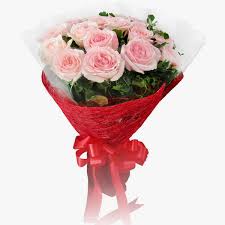 We did not find results for: Send Flowers To Hyderabad With Florazone Same Day Midnight Flower Delivery In Hyderabad Online Florist Flora Zone
