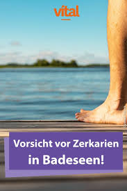 Pin Auf Fit Durch Die Hitze