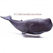 Posisi paus sperma saat tidur adalah salah satu hal yang menarik dibahas dari dunia hewan. Promo Mainan Miniatur Hewan Recur Physeter Macrocephalus Ikan Paus Sperma Berkualitas