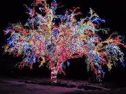 The magic tree columbia mo. The Magic Tree In Columbia Mo Christmas Scenery Diy Holiday Decor Christmas Inspiration