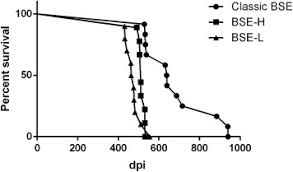 Download and install the most recent version of extreme picture finder. Experimental Study Using Multiple Strains Of Prion Disease In Cattle Reveals An Inverse Relationship Between Incubation Time And Misfolded Prion Accumulation Neuroinflammation And Autophagy The American Journal Of Pathology