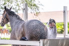 Image result for Anhidrosis