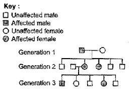 Anatomy & physiology ii unit 4: Given Below Is A Pedigree Chart Showing The Inheritance Of A Certain Linked Trait In Humans The Trait Traced In The Above Pedigree Chart Is